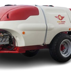 SERIE NARROW CITRUS
