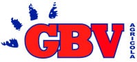 GBV